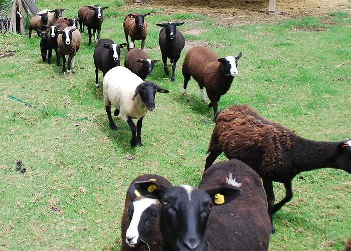 U Lochu 아파트 Knovicky