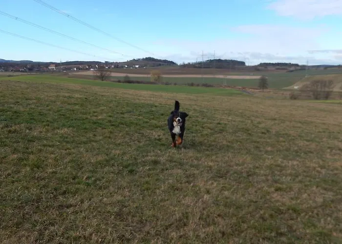 아파트 U Lochu Knovicky